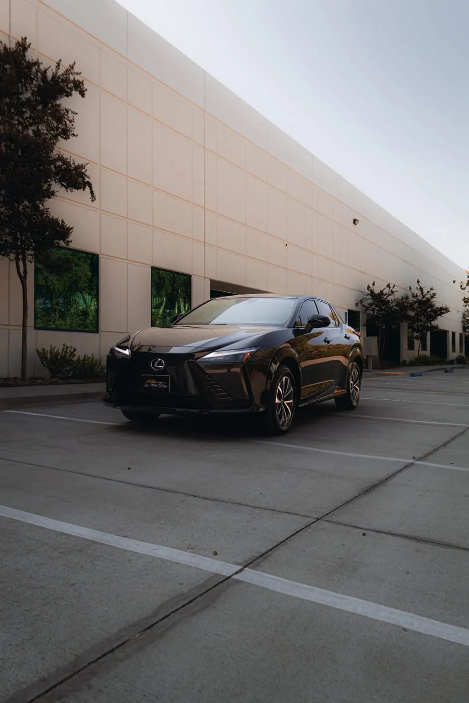 Freshly detailed Lexus exterior result