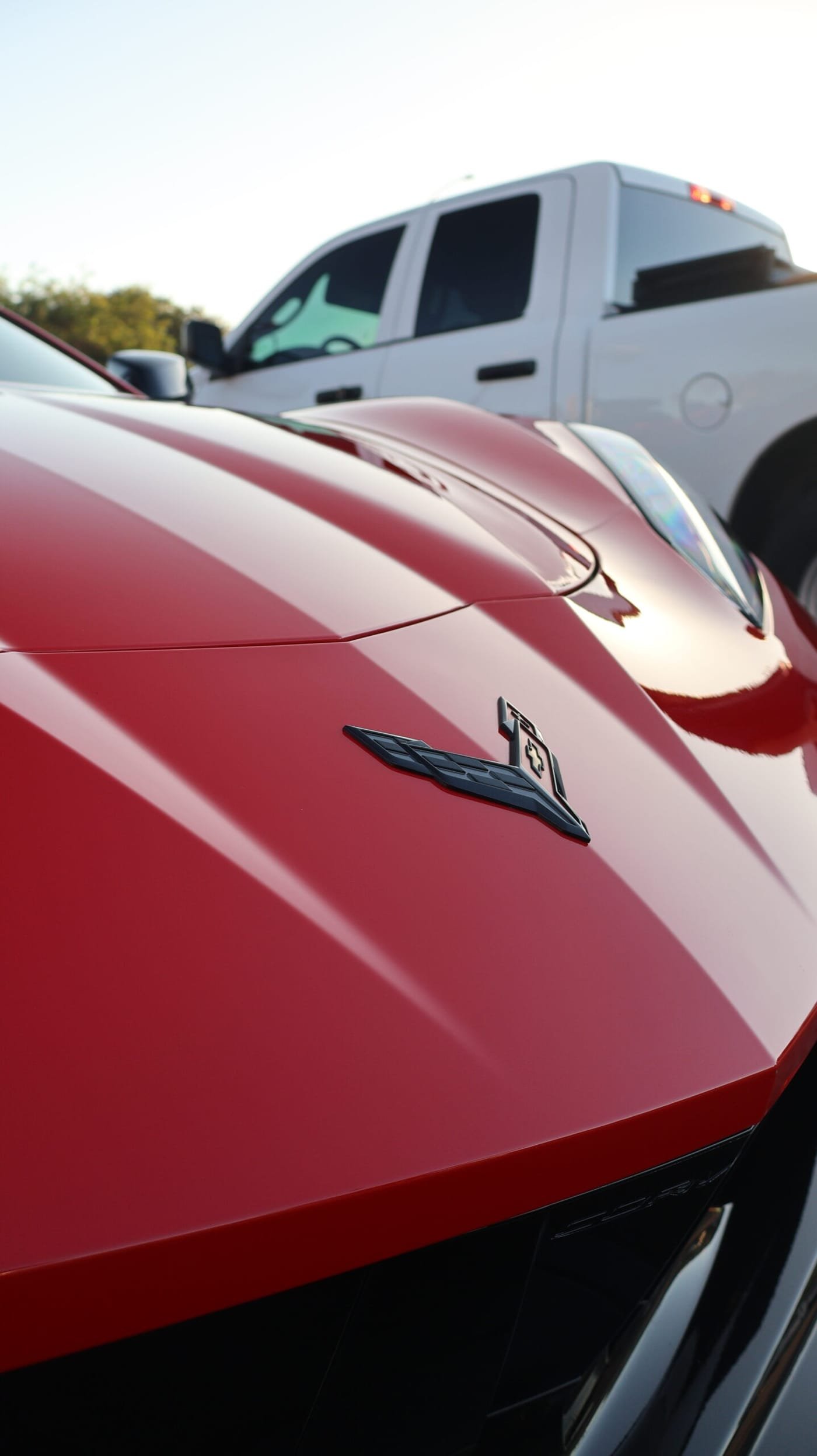 Glassy-smooth, glossy paint finish after clay bar decontamination in San Diego