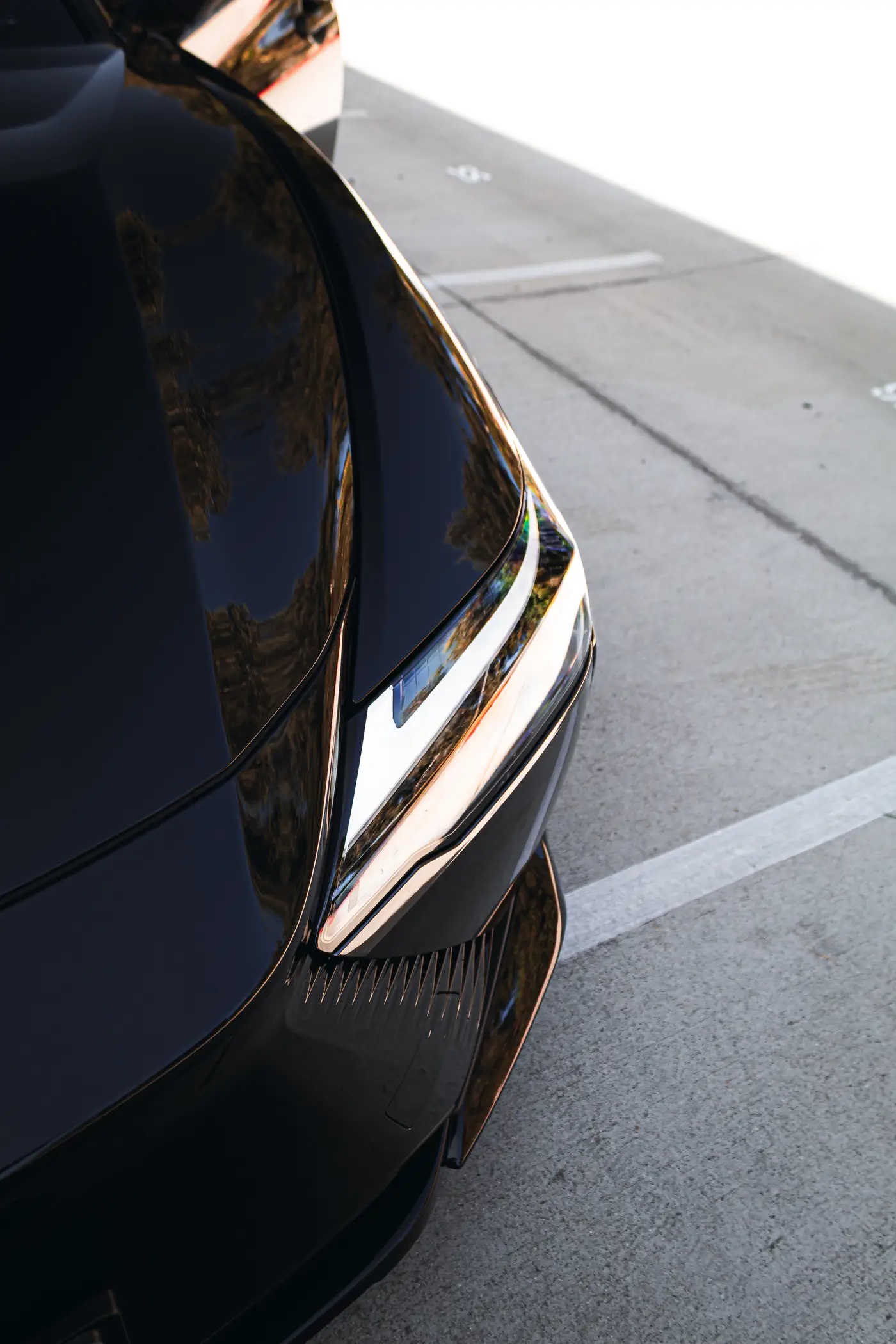 El Cajon paint correction: deep, glossy black paint along a front fender and LED headlight