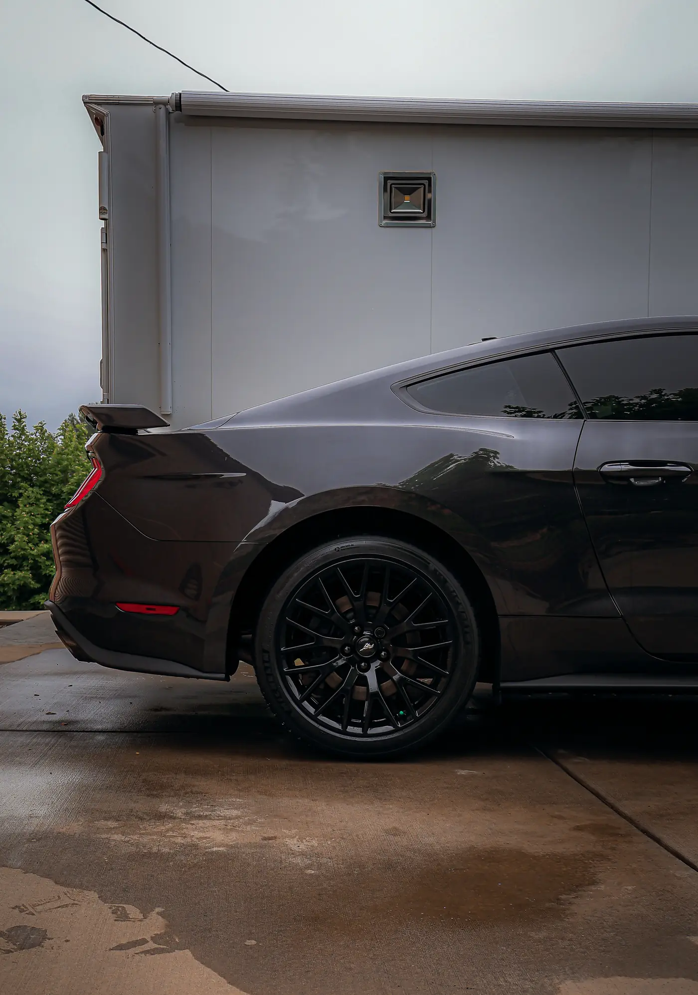 Poway paint correction: glossy dark Ford Mustang in a driveway